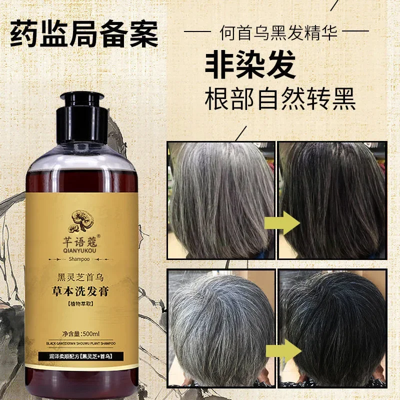 500 ml Black Ganoderma lucidum Shou Wu hair shampoo  botanical herbs oil control anti-dandruff repair white to black shampoo