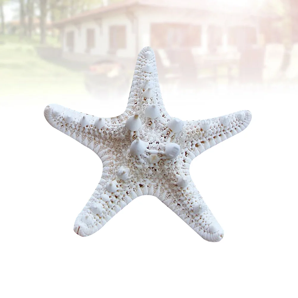 

2 Pcs Shell Decor Ornaments for Crafts Party Natural Photo Props Star Fish Tank Accessories
