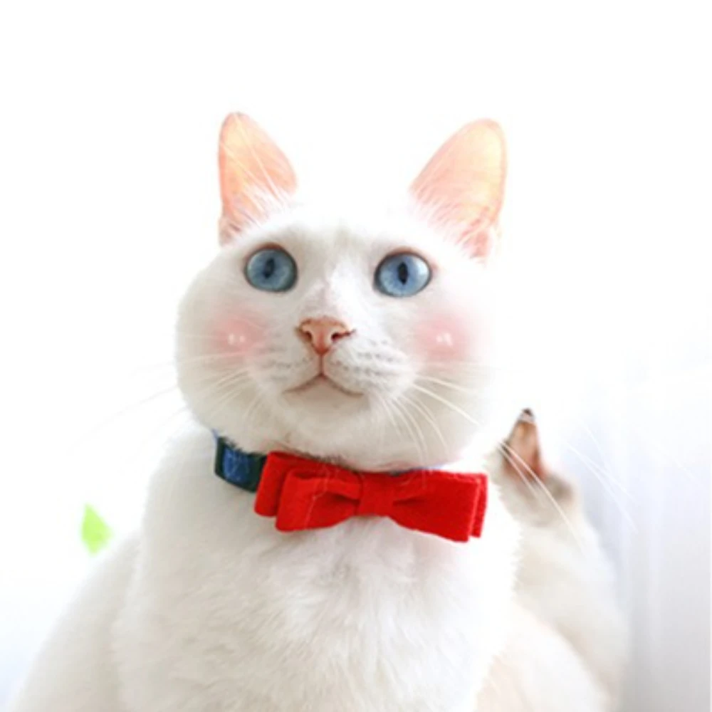 Collar con campana para perros y gatos – Ajustable y moderno - imagen 4