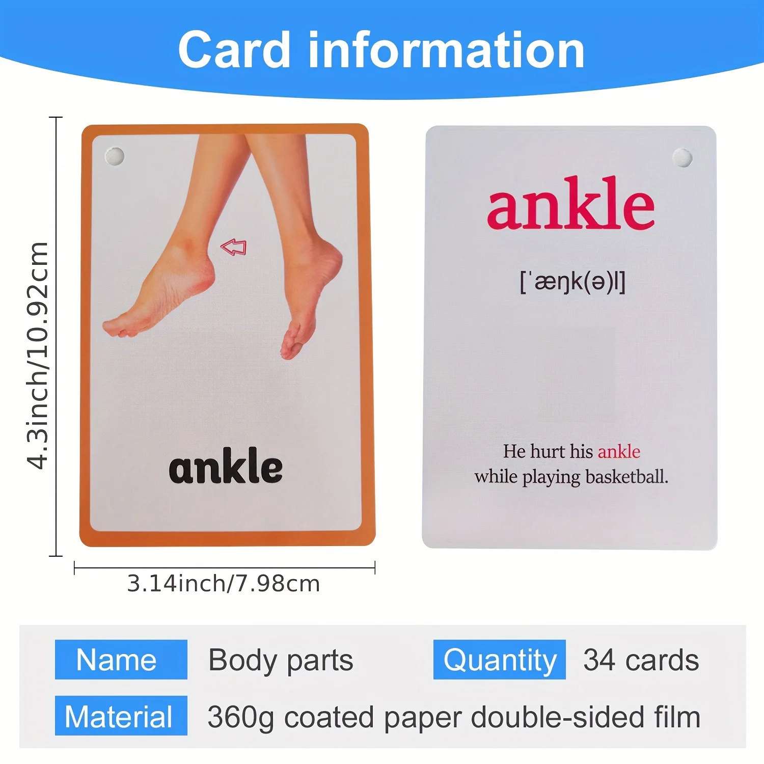 Body Parts English Learning Cards Homeschooling Classrooms Early Education Teaching & Speech Interactive Activity Flash Cards
