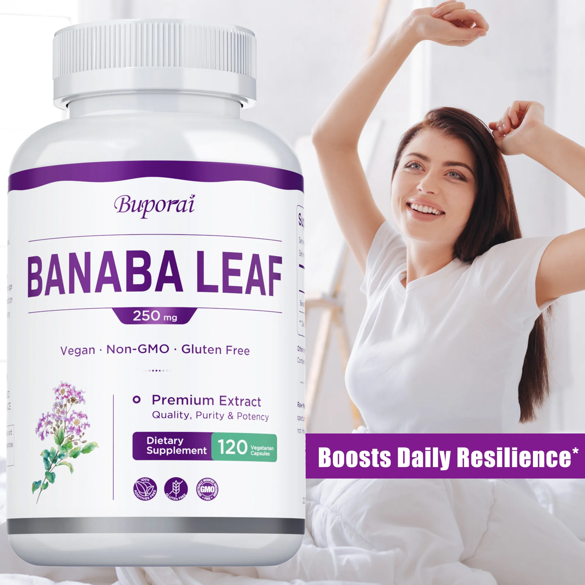 

Banaba Leaf - Promotes Healthy Blood Levels,Metabolism, Naturally Boosts Vitality,Maintains Overall Health,Replenishes Nutrients