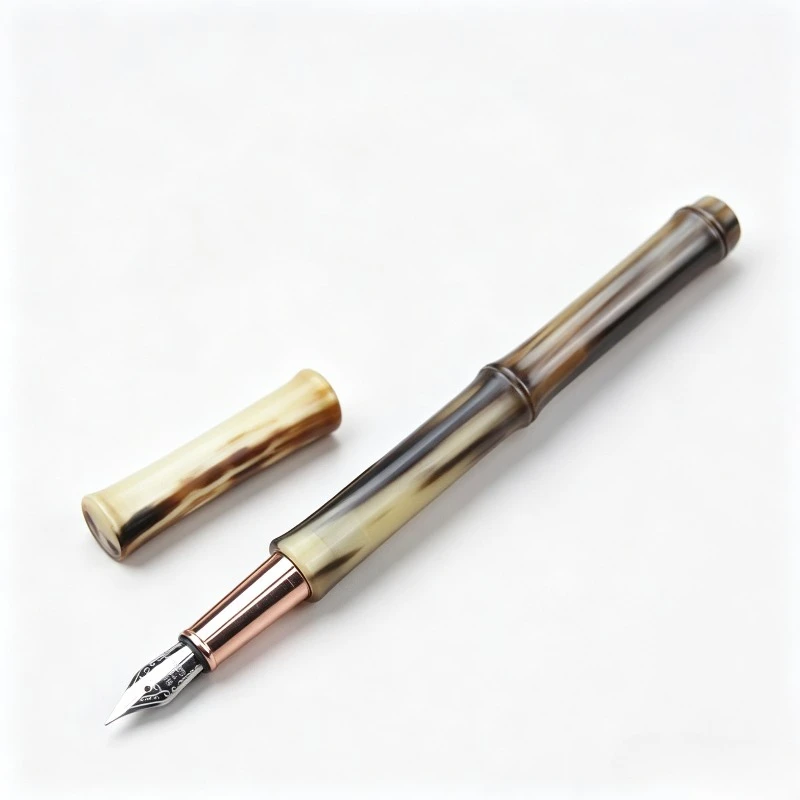 Nouveauté 2026 – Stylos de calligraphie faits main en corne de vache américaine, pointes flexibles F M B, ensemble de papeterie pour l'art et la pratique du dessin