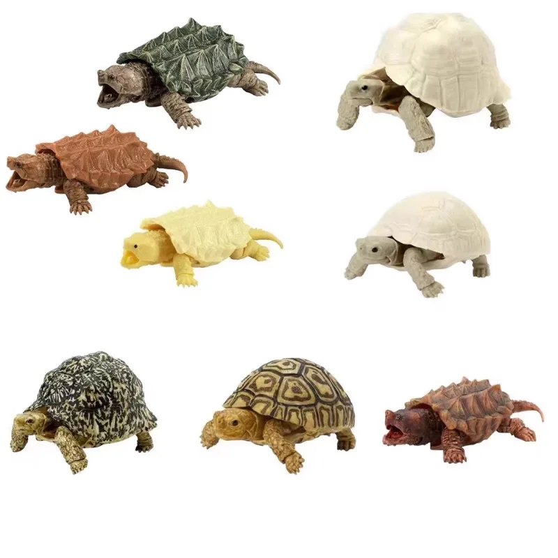 

Bandai Twister Creature Illustrated Marine Biology Leopard Turtle Simulation Creature Joints Movable Action Figures Kids Toys