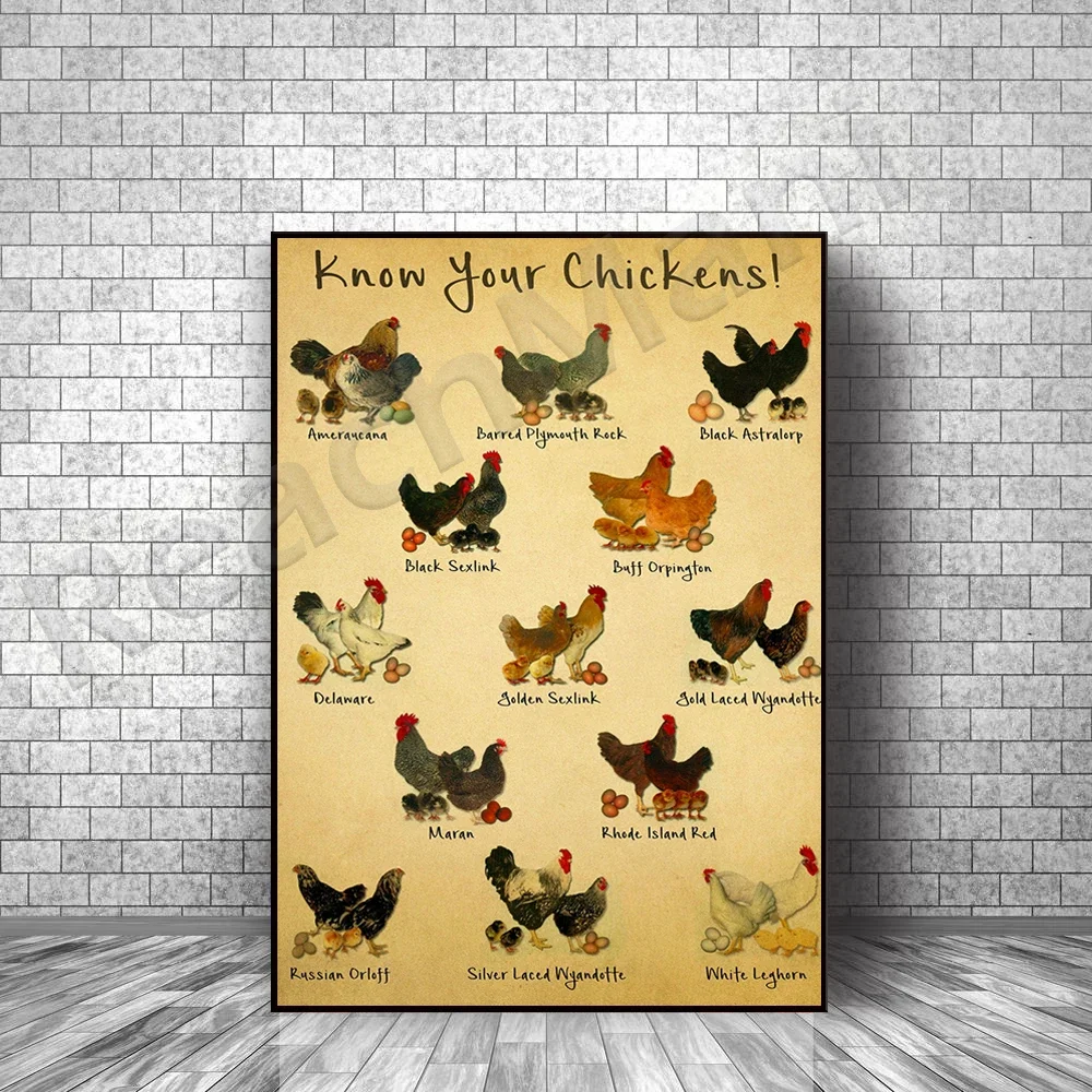 Know Your Chicken Poster, Chicken Knowledge Poster, Chicken Lover Poster, Chicken Knowledge Poster, Vintage Wall Art Decor