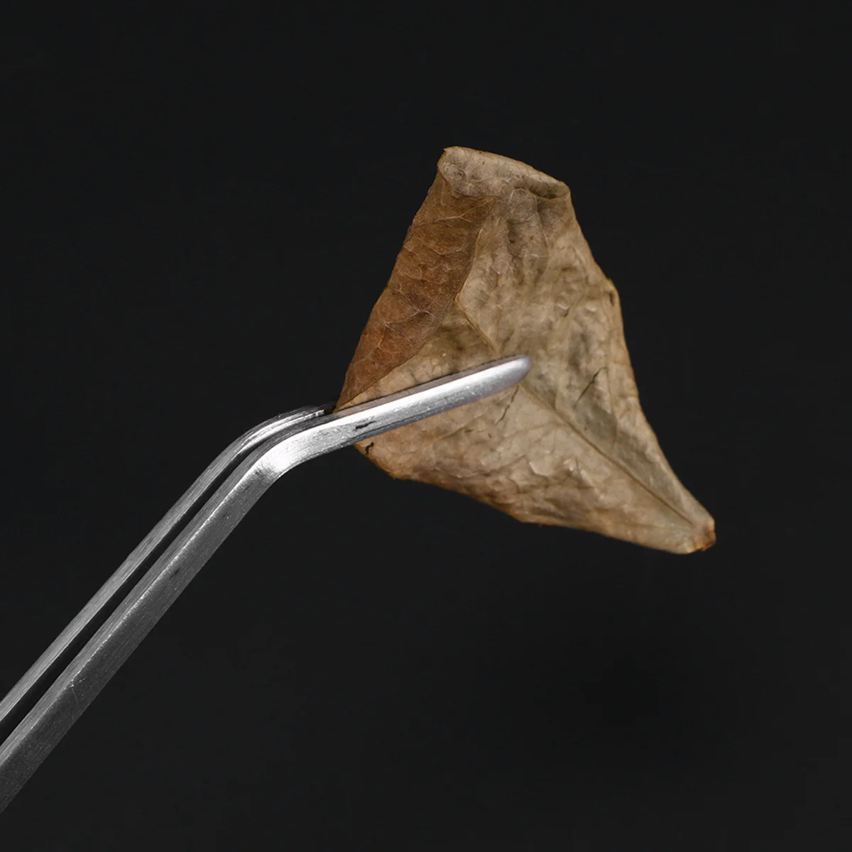 ملقطان ممتازان للنباتات المائية بطول 27 سم من الفولاذ المقاوم للصدأ، طقم أدوات لحوض السمك بتصميم مريح للتقليم الدقيق في المياه العسرة