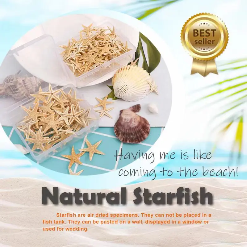 20PCS 1 Box Natural Starfish Seashell Beach Craft Natural Sea Stars DIY Beach Wedding Decoration Crafts Home Decor Epoxy 1-5cm