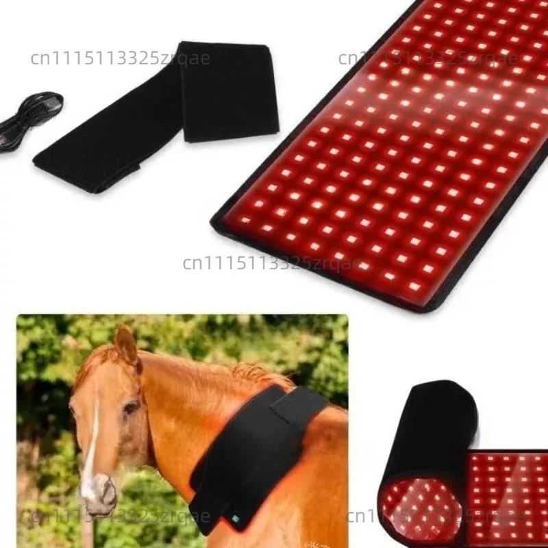 LED Red Infrared Light Therapy Led Lamp Mat Horse Leg Red Light Therapy Rug Pad For Pet Horse Back view 2