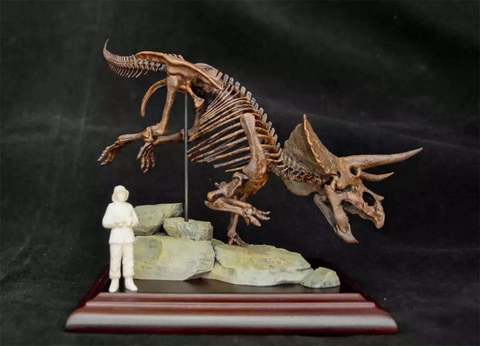 VWUVWU 1/35 Triceratops Skeleton Skull Model Animal Fossil Dinosaur Figure Collector Educational GK Desk Decoration Gift Painted