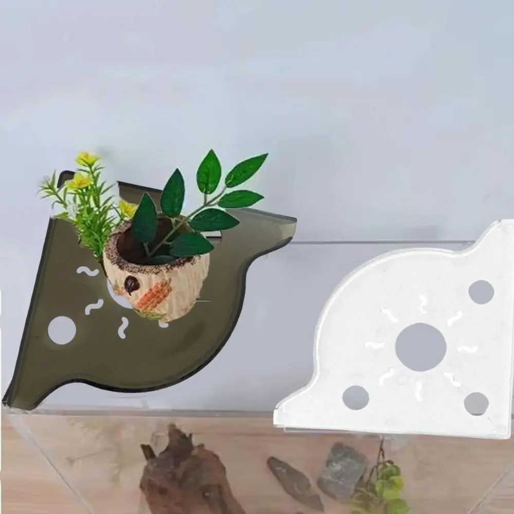 Triangle Fish Tank Corner Storage Rack Clear Easy Installation Aquarium Plant Holder Decorative Space Saving