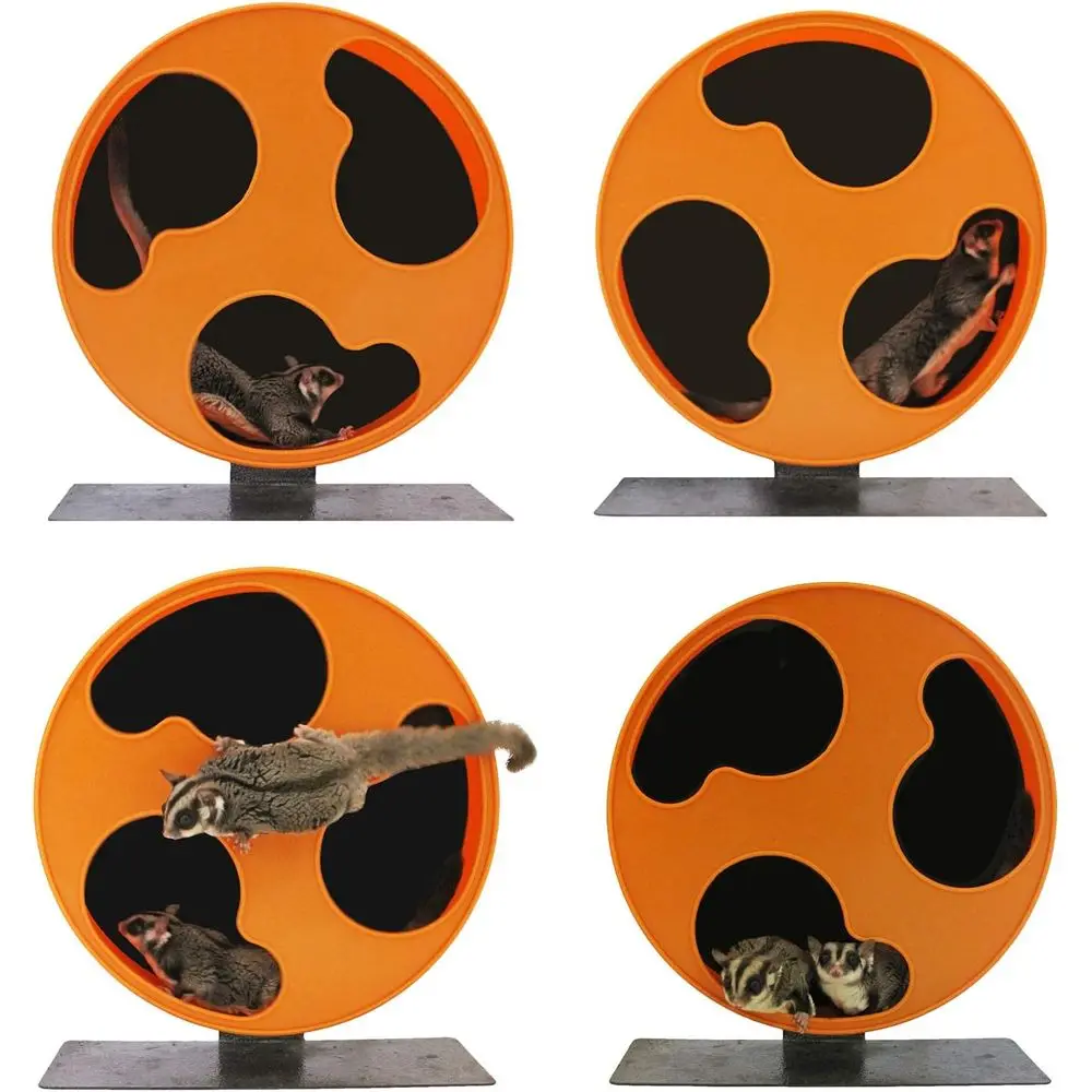 Silent Runner 12" Regular Wheel + Sandy Track + Cage Attachment - Pet Exercise Wheel Package Set - for Sugar Gliders, Female Rat