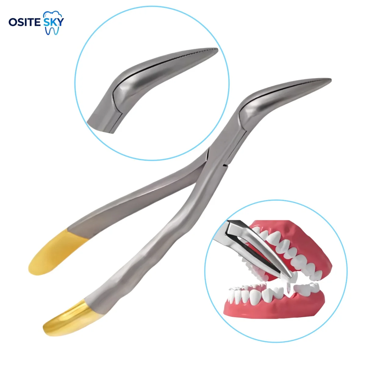 Dental Root Fragment Forceps Tooth Extraction Pliers Stainless Steel Curved Beak Serrated Maxillary Mandibular Dentistry Tools