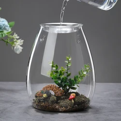 Creative Glass Cover Glass Bottle Moss Vase Hydroponic Fleshy Micro Landscape Glass Terrarium Bonsai Home Decor