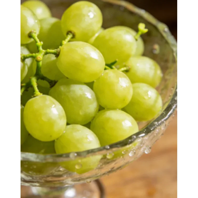 

2026.Electric Massage Beauty Bed Facial Spa Chair Cosmetic Salon Extension