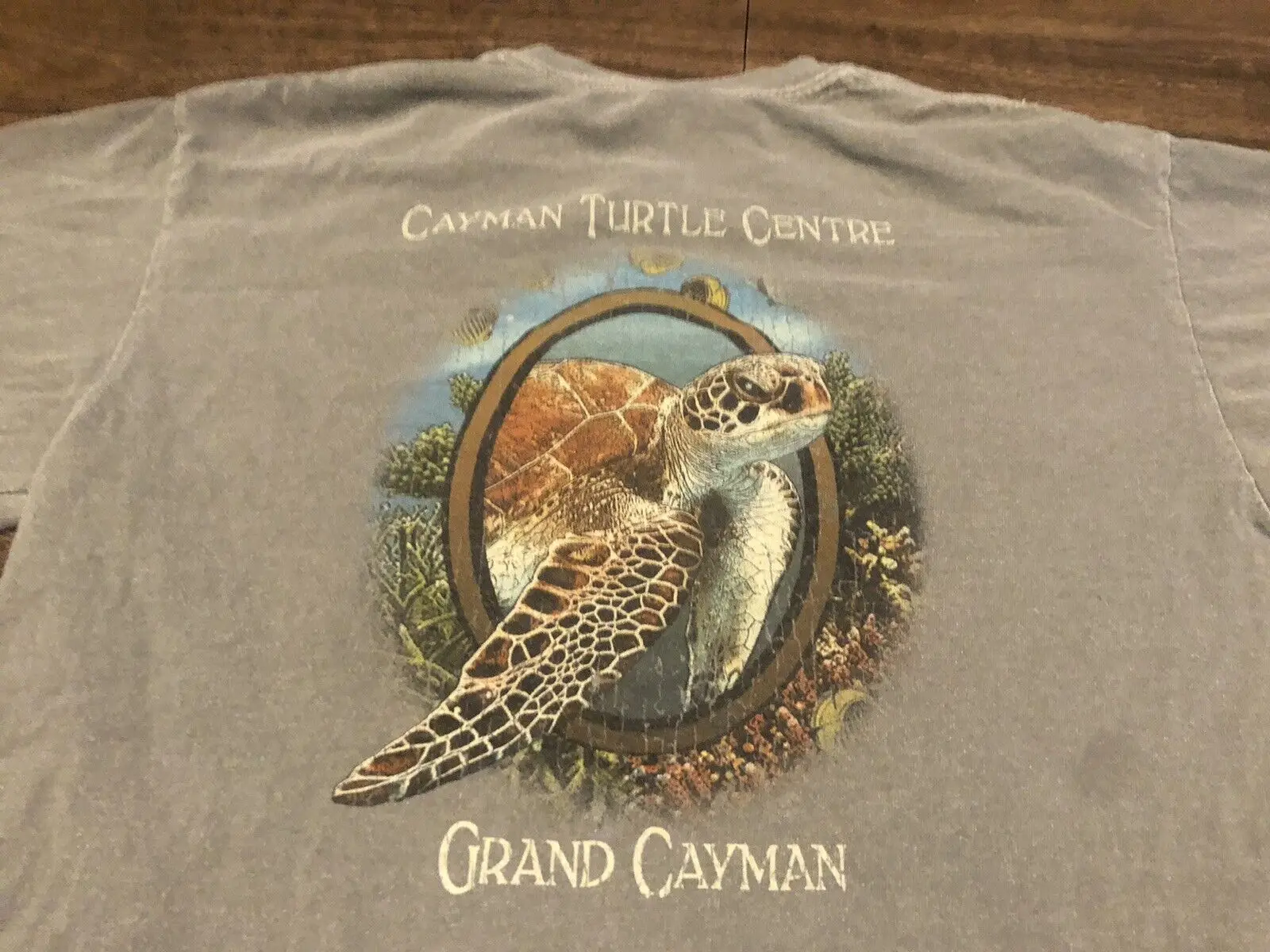 Vintage Cayman Turtle Center Grand Caymand Island Small Gray T Shirt long or short sleeves