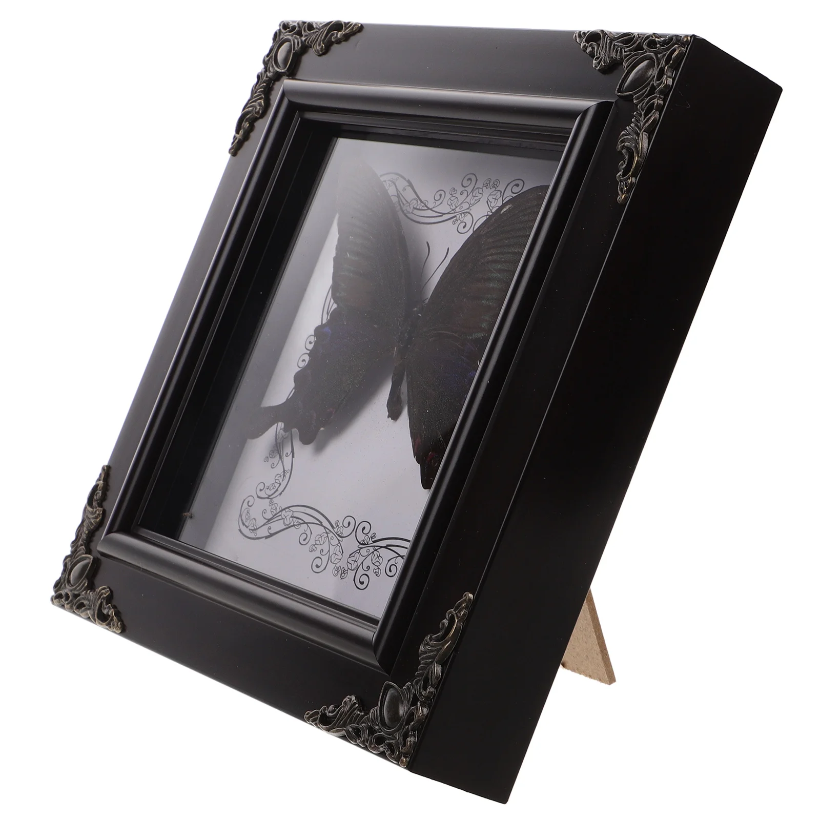 Butterfly Specimen Photo Frame Poster Black Vintage Framed Picture Frames Home Decorations Specimens