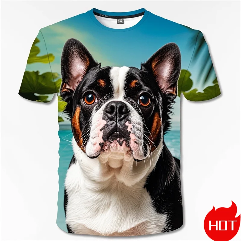 Fashion 3D Printing Cute Doge Boston Terrier T Shirt Kid Funny Streetwear Short Sleeves Unisex Harajuku Tee Shirts Mens Clothing