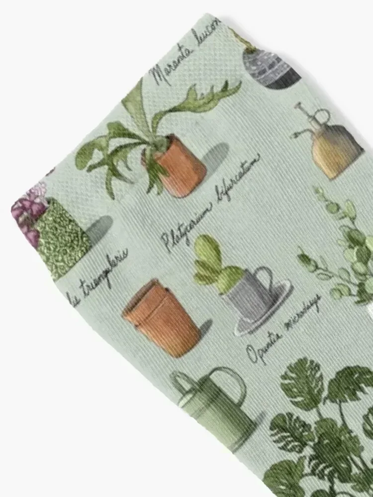 Succulents and Potted Plants Pattern Socks christmas gift football winter Rugby Designer Man Socks Women's