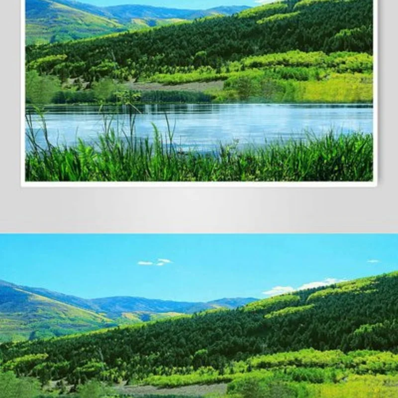 No image
