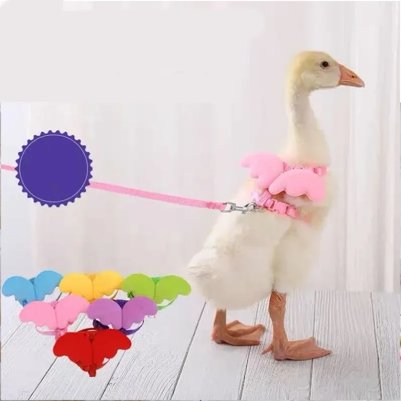 Adjustable Duck Little Angel Wings Harness Chest Strap Leash Set Traction Rope Chicken Goose Breast Strap Outdoor Pet Supplies