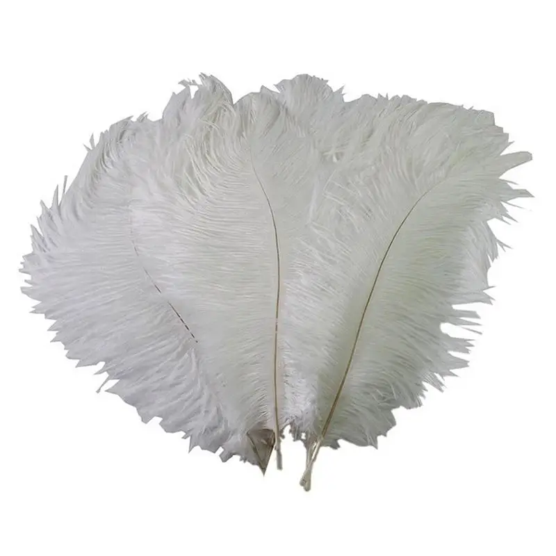 10PCS Natural Ostriches Feathers Wedding Feathers Clothing Accessories Party Decoratation