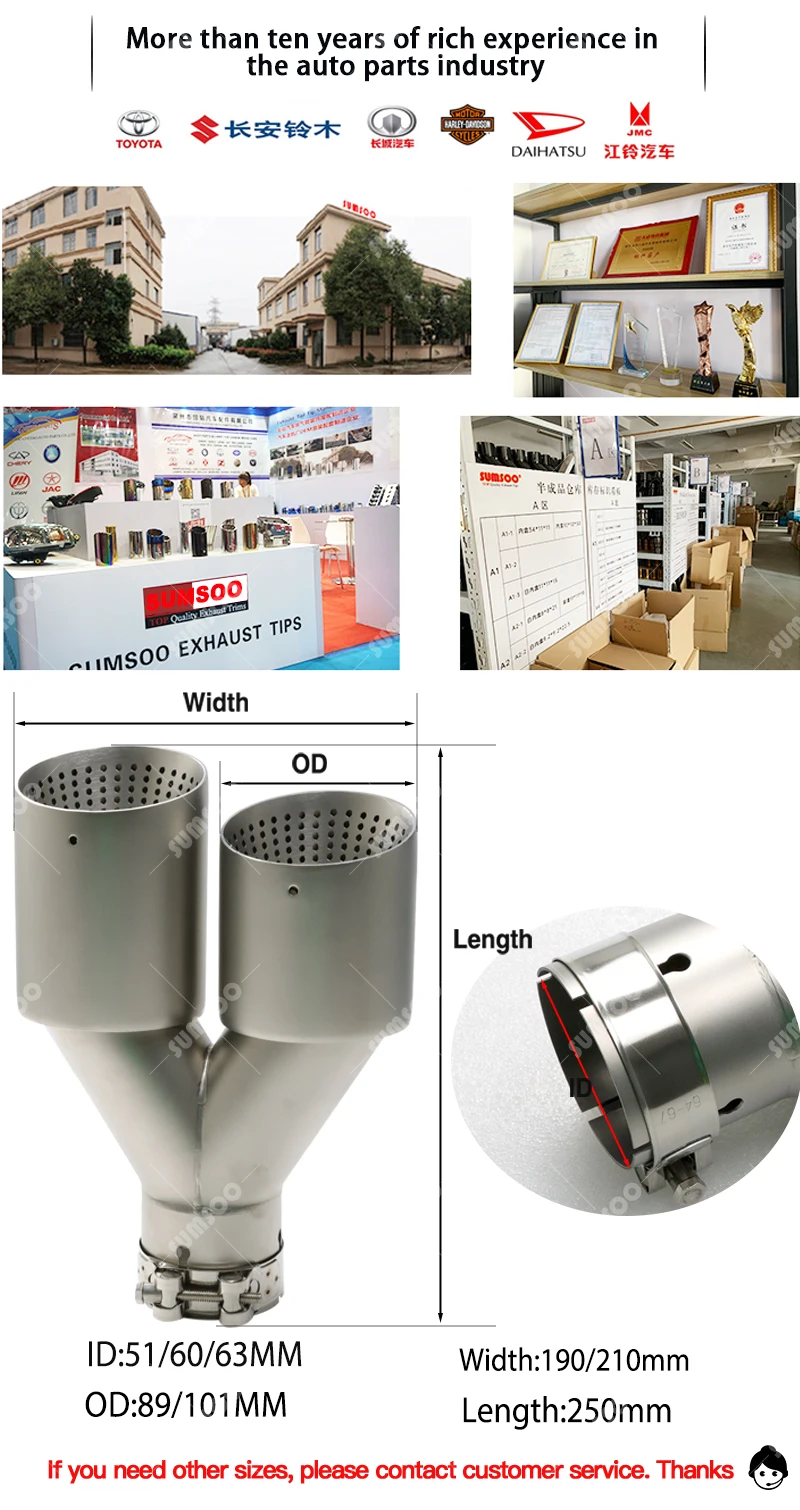 1 Stücke Doppel Matt Edelstahl Auto Schalldämpfer Spitze Auspuff Spitze System Rohr Universal Auspuff Spitze 60 63 für GTI MK7 Golf7 Düse – Detail 2