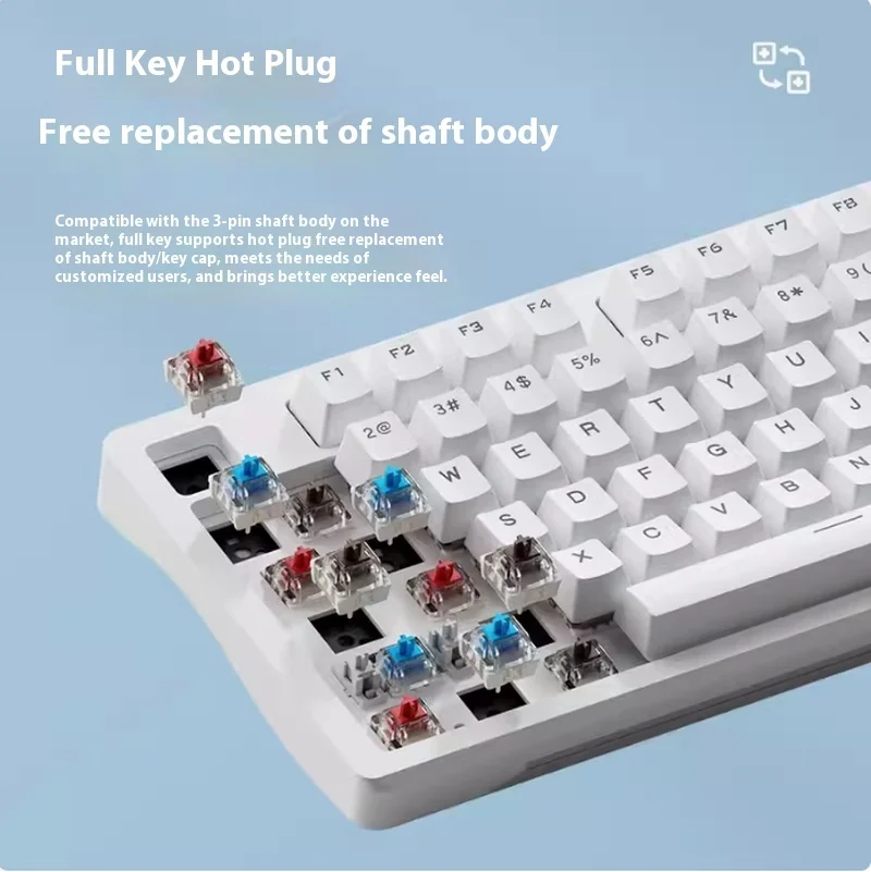 Imagem -04 - Teclado Mecânico de Chave Completa Personalizado Wolf Spider S98 Vem com 97 Teclas Teclado Hot Swap Estrutura de Junta Novo