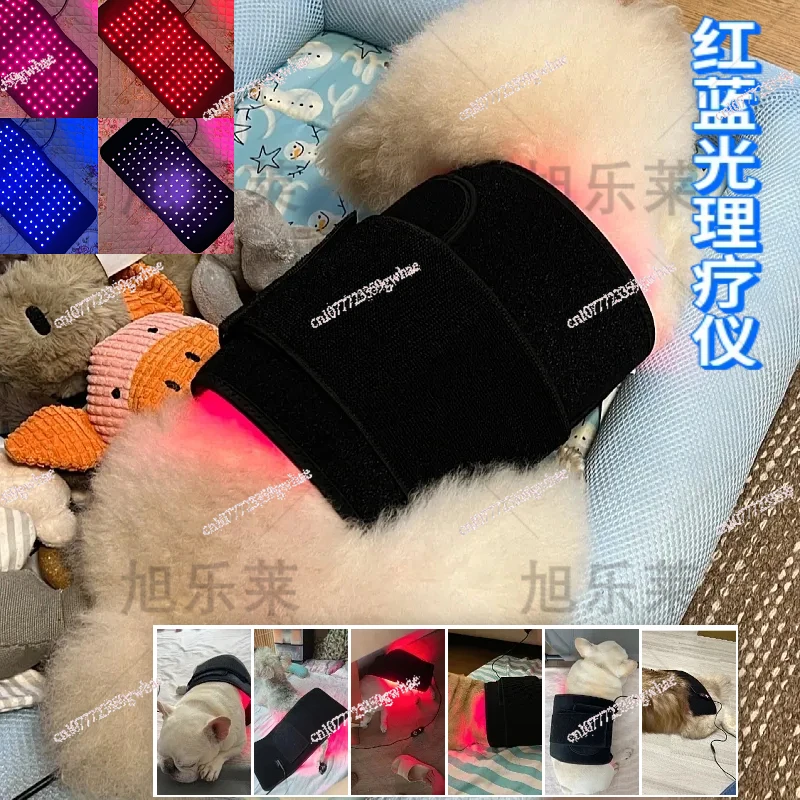 

Pet infrared infrared light physiotherapy belt
