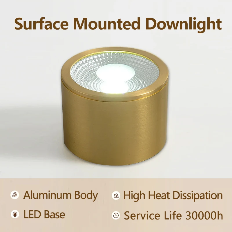 Postmodern Design Luxury Round Surface Mounted Led Ceiling Lamp Ultra-Thin Copper Spotlight Living Room Hallway Corridor Fixture