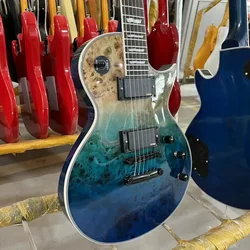 Electric Guitar, Burl Maple Top, Mahogany Body, Rosewood Fretboard, Black Hardware, Free Shipping, Gleeson