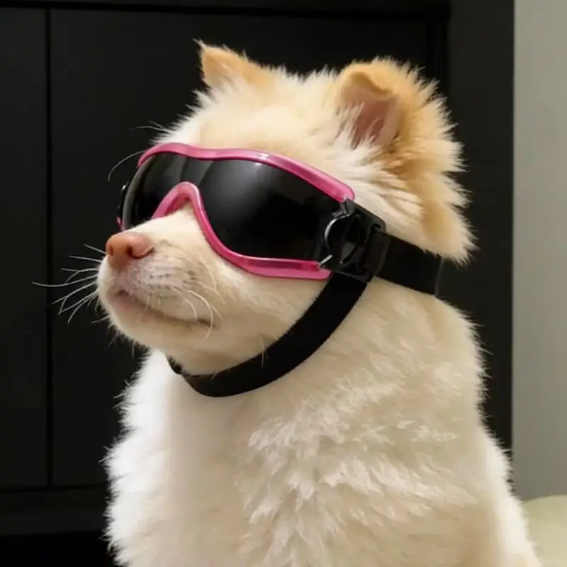 Dog Goggles for Small Medium Dogs UV Protection Windproof Pet Sunglasses Adjustable Strap Puppy Eye Protection Glasses - view 4