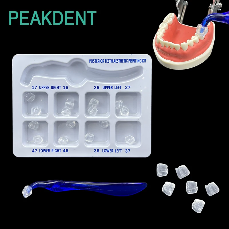 

1set Dental Posterior Aesthetic Printing Mold Kit for Teeth Restoration Resin Crack Filling Tool Dental Filling Supplies
