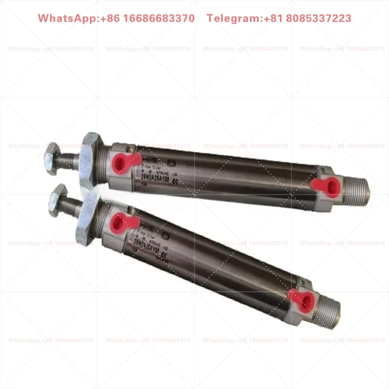 CAMOZZI Pneumatic Cylinder 25N2A25A050 25N2A25A075 25N2A25A080 25N2A25A0100 25N2A25A125 25N2A25A150 25N2A25A175 25N2A25A200