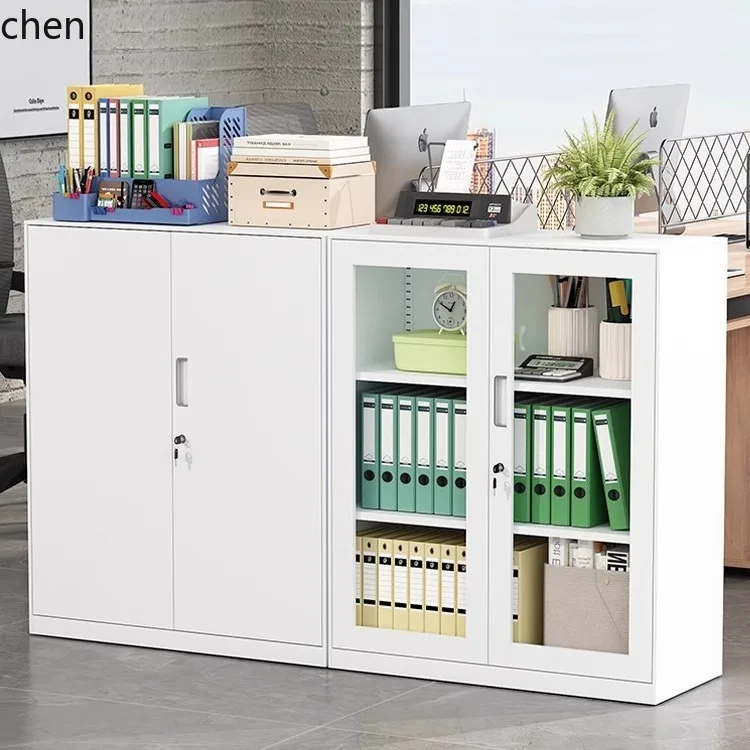 HXL Office Metal File Cabinet with Lock, Archive Storage Cabinet, Steel Storage