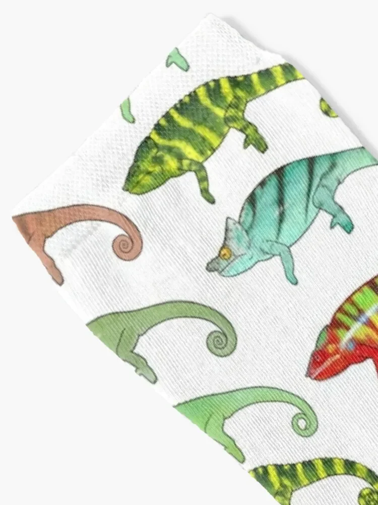 Collection of Chameleons Release 1 Socks colored cotton Men Socks Luxury Brand Women's