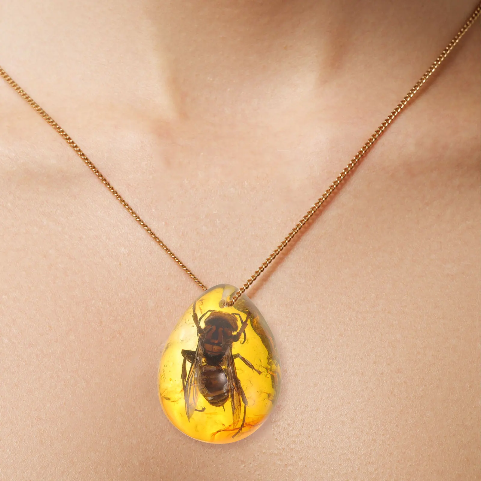

3 Pcs Insect Amber Specimen Sample Collection Diy Crafting Observation Specimens Pendant