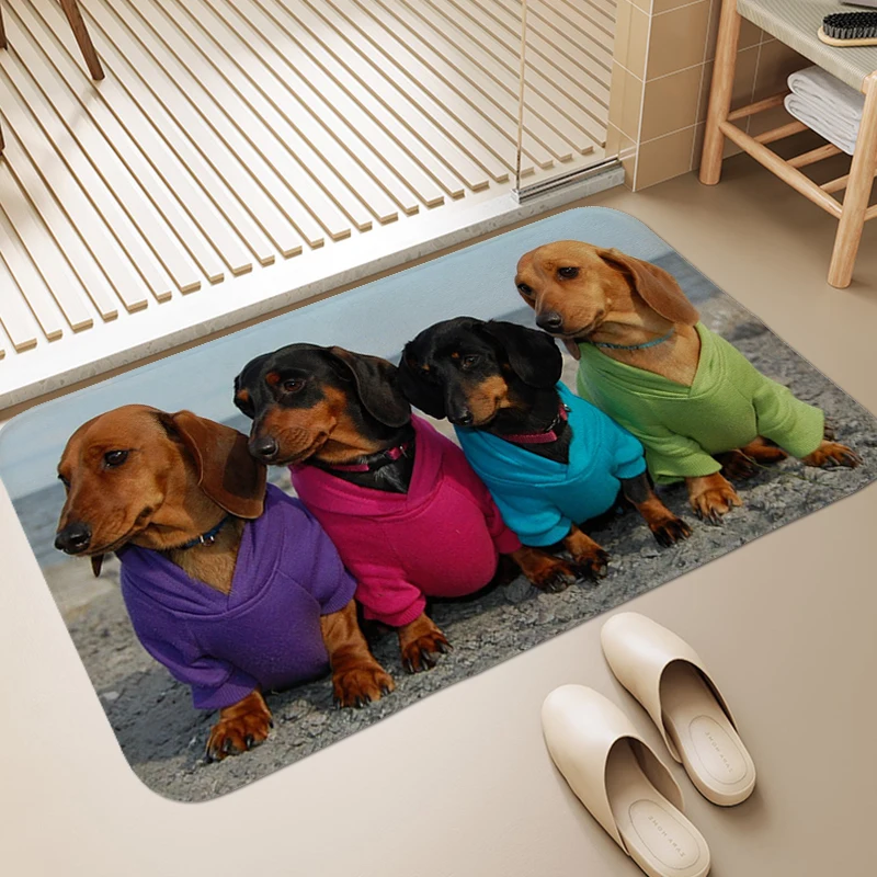 Digital Print Dachshund Dog Non-slip Foot Mat Carpet for Bedroom Washable Non-slip Kitchen Rug Entrance Door Doormat Bathmat