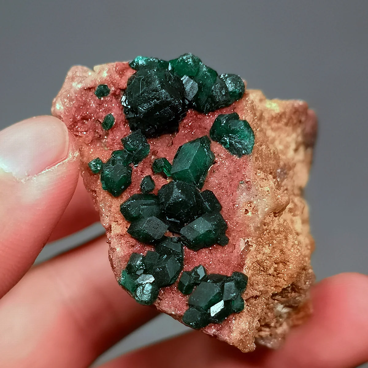 

C5-1B 100% Natural Congo Dioptase Raw Stone Mineral Specimen Healing Crystal Gem Collection