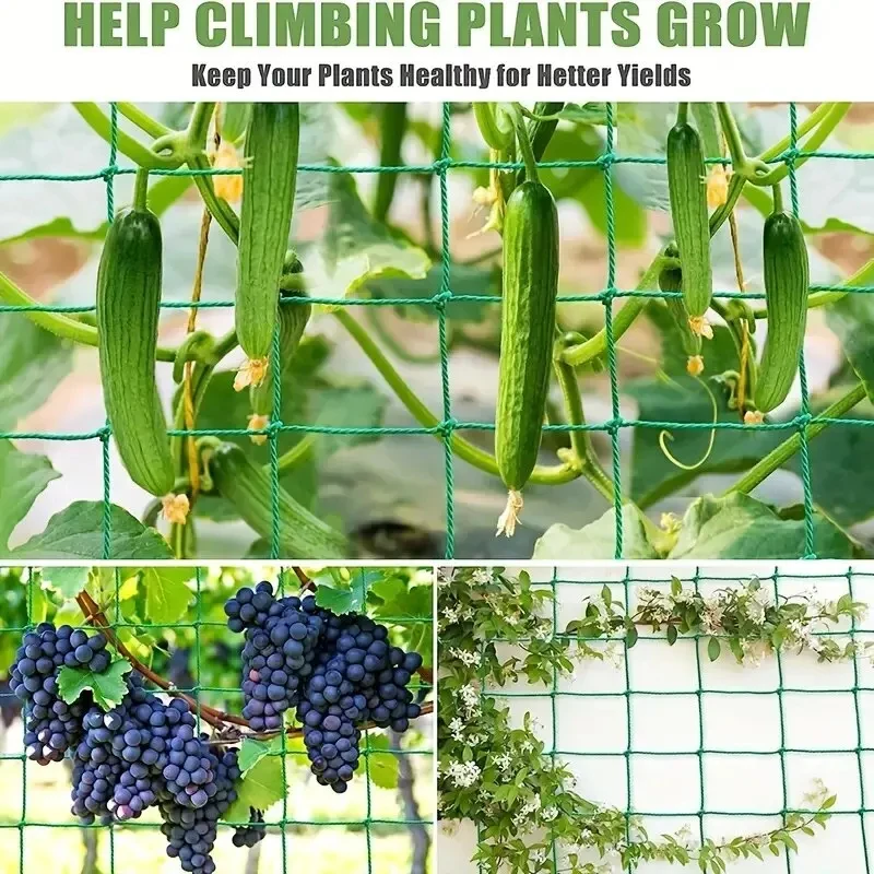 Specialized Nylon Climbing Net for Gardening High Load-Bearing Support Net for Corn Cucumber Loofah Morning Glory 0.9-5
