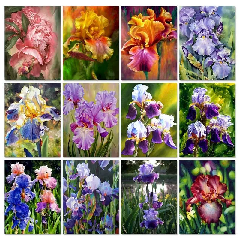 GATYZTORY 60x75cm Paint By Number For Adults Irises Flower Kits Drawing On Canvas DIY Paint For Painting Art Gift Home Decor