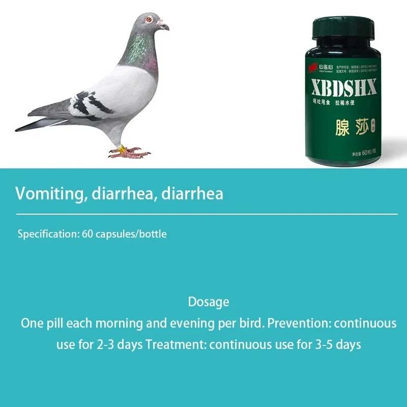 Pigeons diarrhea green stools and water stools to resist Salmonella adenopathy capsules probiotics vitamins and vomiting