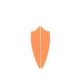 50pcs Shield Orange