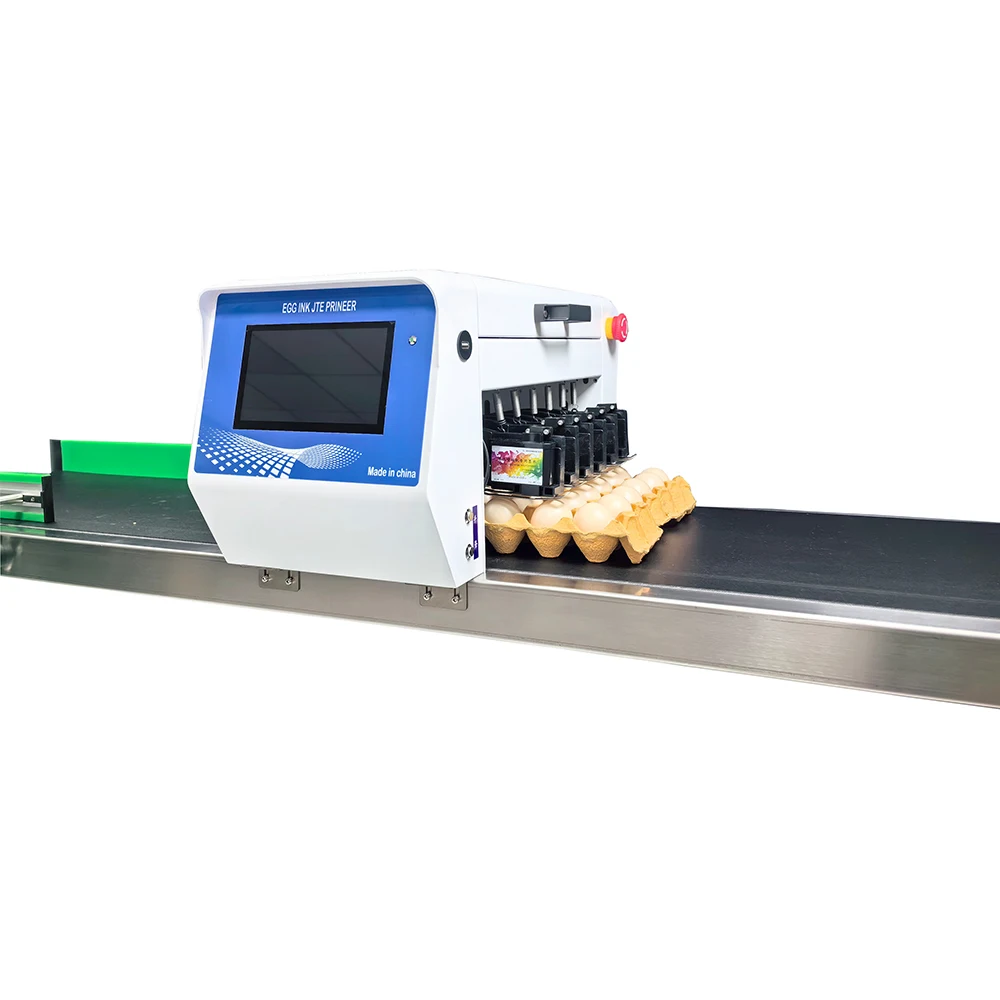 Egg Inkjet Coding Printer Continuous Ink Jet Marking Machine to Print Expiry Date on Egg Surface for Egg Processing Plant