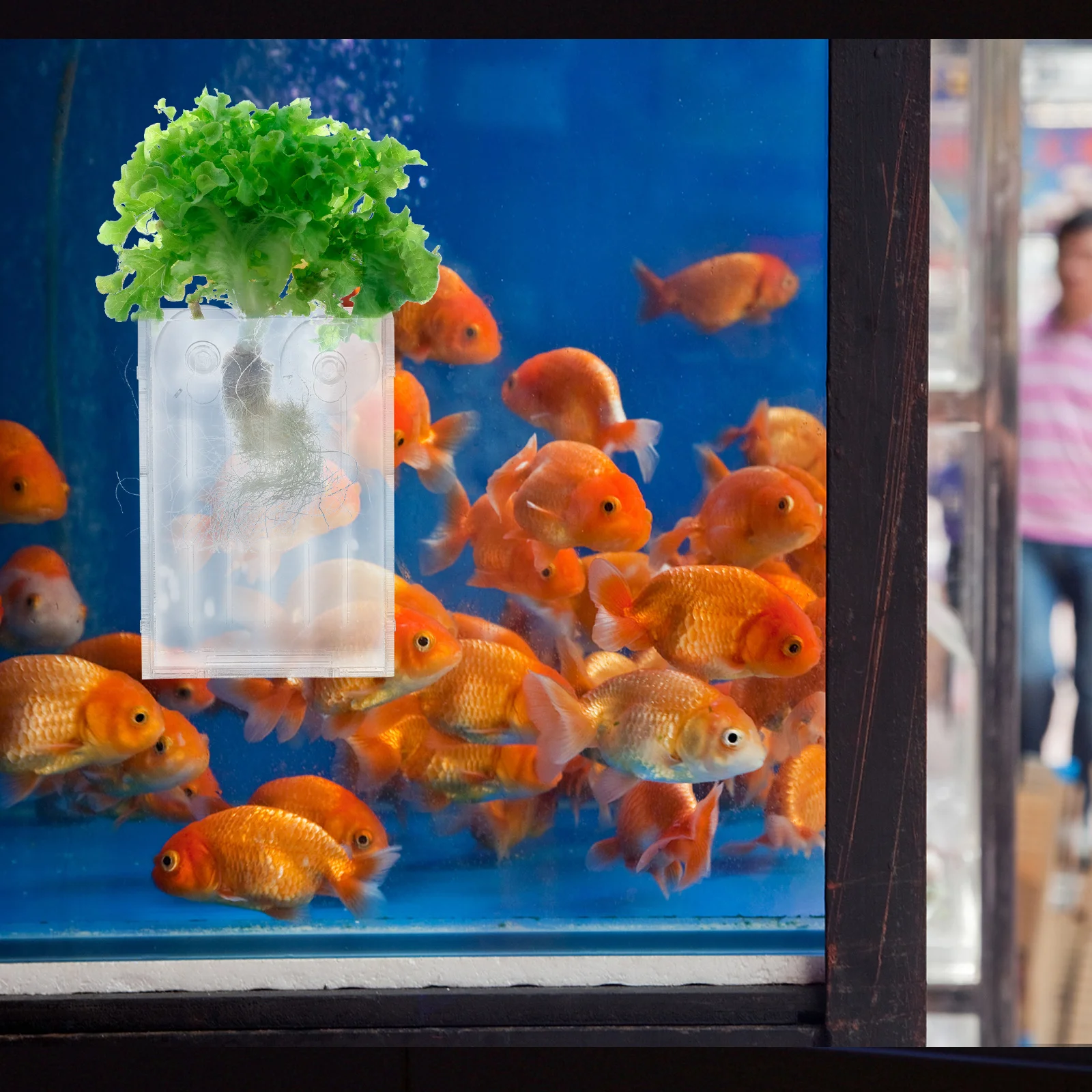 

Acrylic Aquatic Holder With Suction Cup For Fish Tank Water Plant Pot Mini Plant Cups Aquarium Landscape