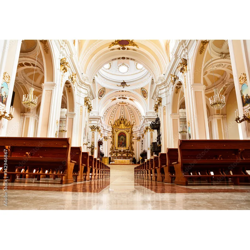 Auditorium European Style Church Photography Backdrop  Architecture Zagreb Cathedral Photo Studio Background JT-18