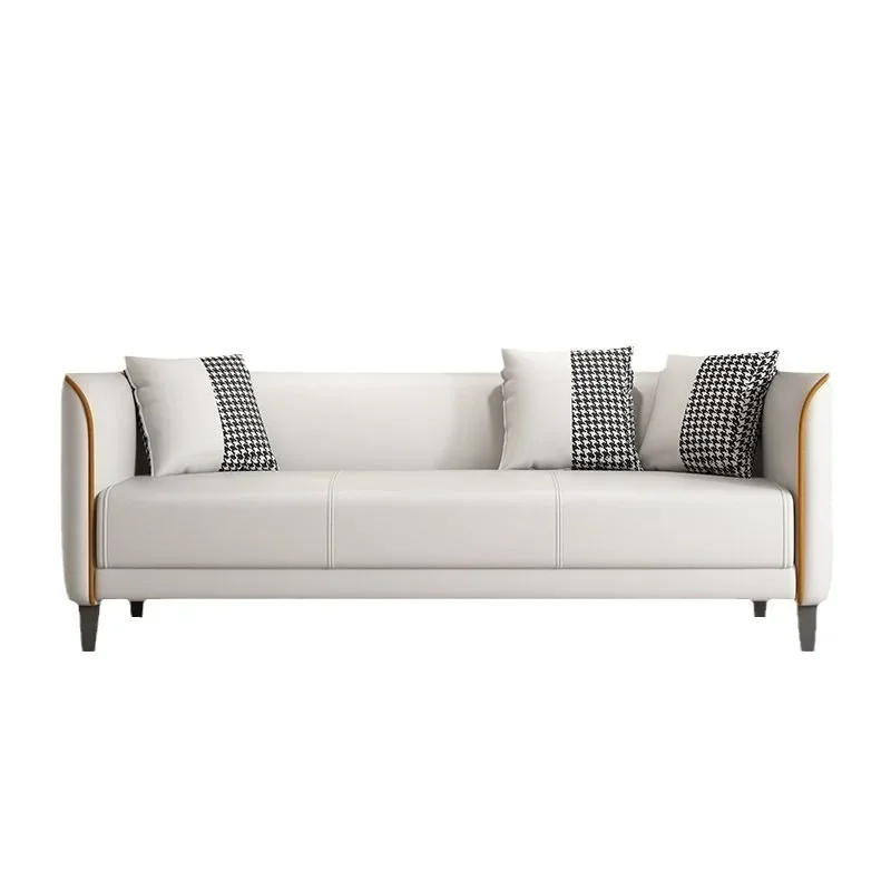 

Double sofa living room simple and high-end household small apartment