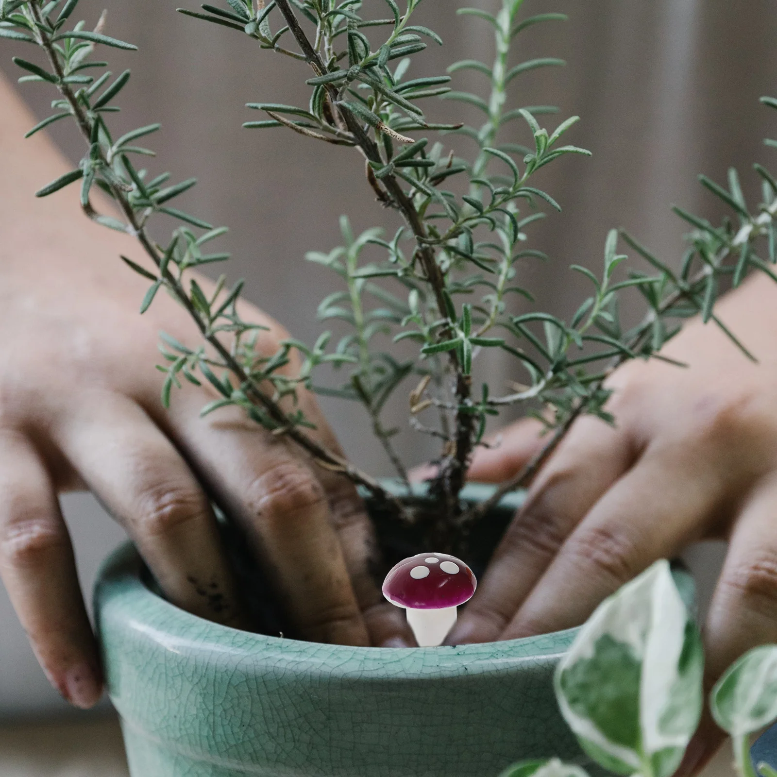 

80pcs Mini Trinkets Artificial Mushrooms Garden Decor Statue Ornaments Colorful Tiny Figurines Lawn Accessories