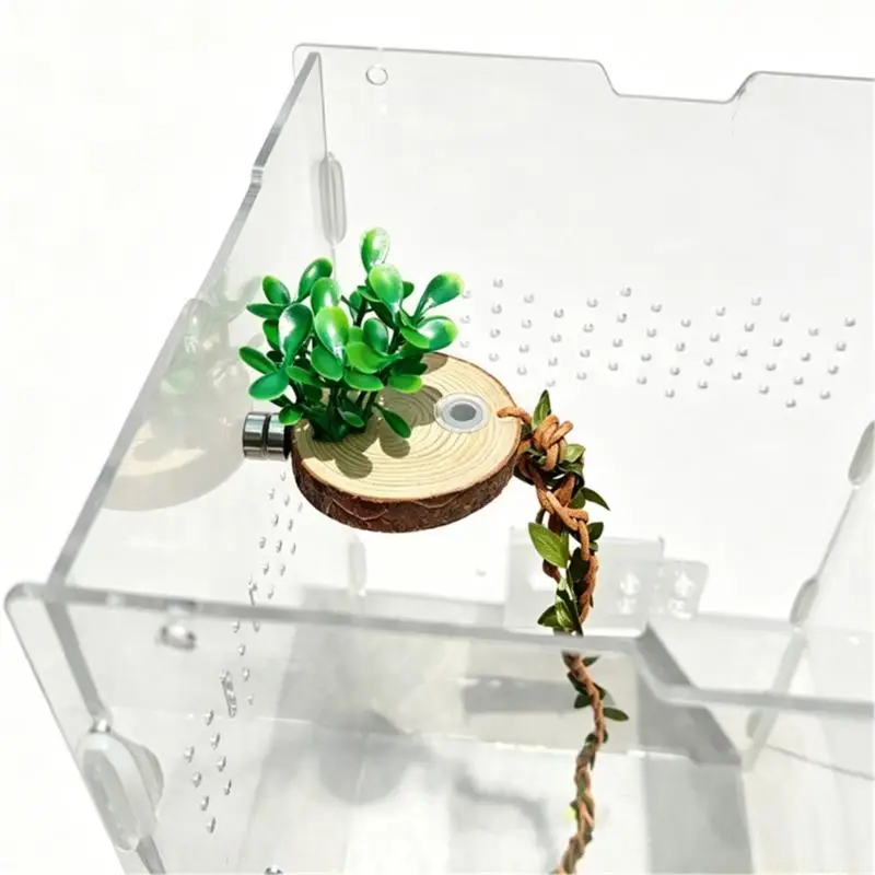 QX2E Acrylic Jumping Spiders Enclosure Wooden Basking Platform And Decorative Plant Clear Spiders Habitat Terrariums