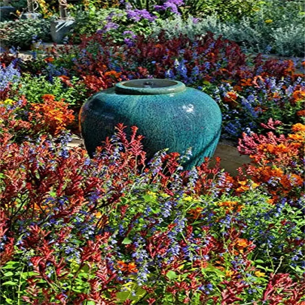 

Большой фотопринт 24x36: горшок Amidst Blooms в саду Longwood Conservatory, PA