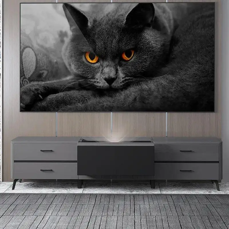 Front and rear retractable laser TV cabinet cinema minimalist intelligent electric tray projector cabinet