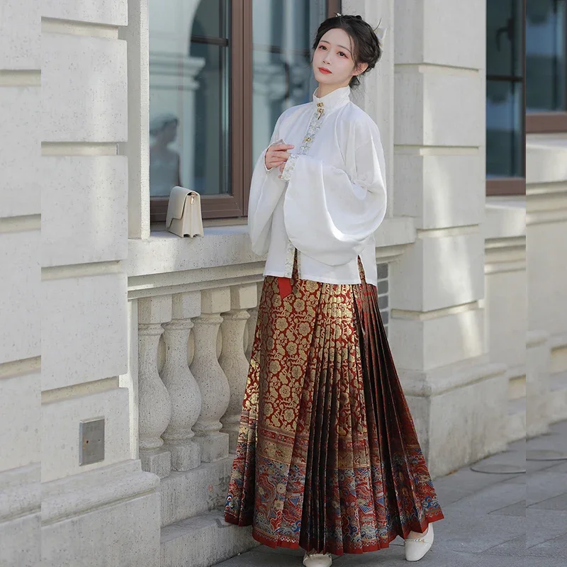 YanBinSha-Jupe Hanfu de la dynastie Ming originale pour femme, broderie exquise, visage de cheval, lecture plissée, 6m, haute qualité